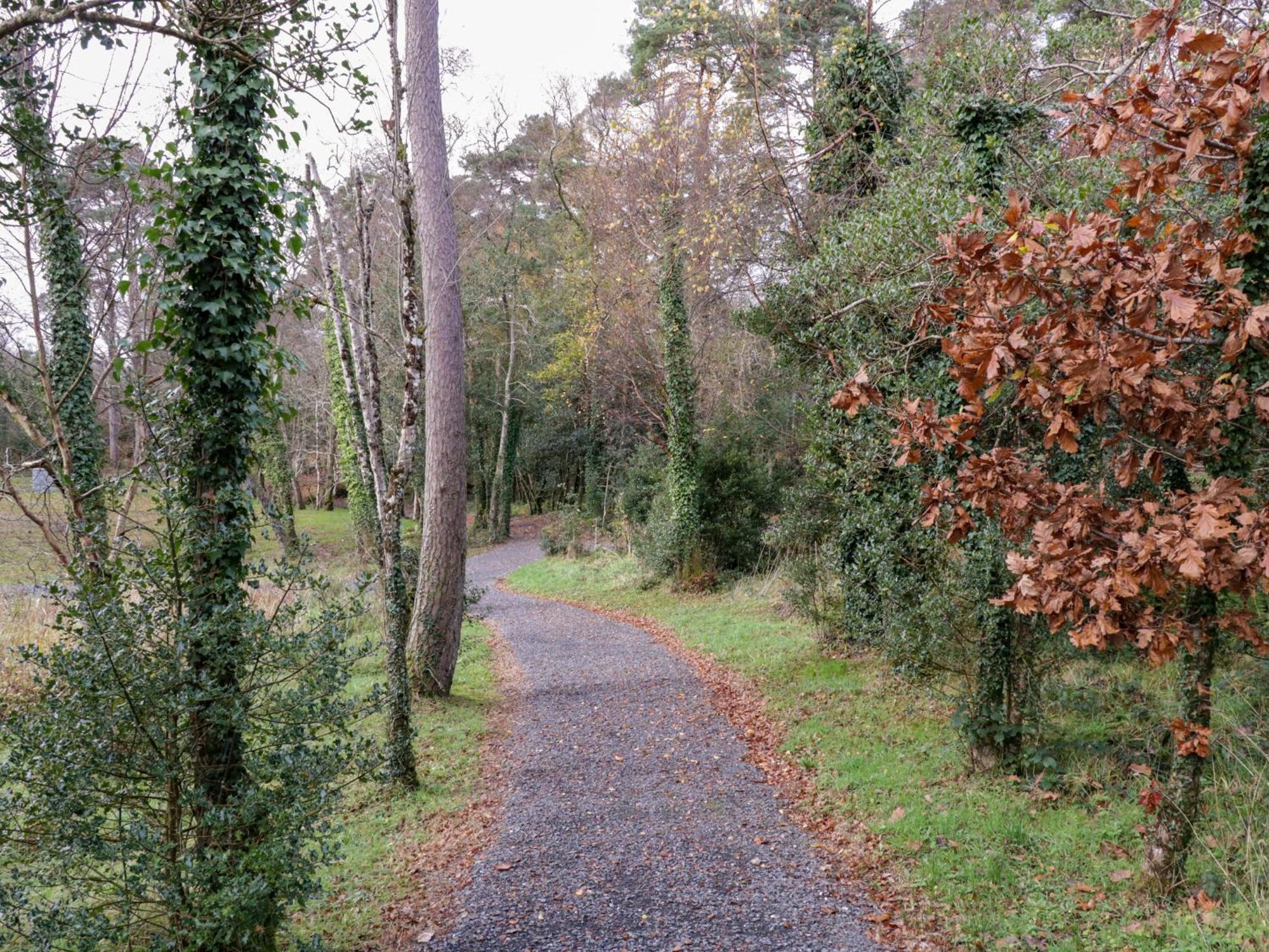 7 Waters Edge Villa Enniskillen Buitenkant foto